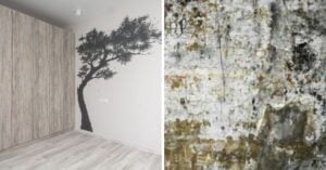 mucegai pe pereți sau pictură pe pereți